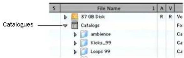 Catalogues S File Name 1 A V 37 GB Disk R R Vo Catalogs ambience Ca Kicks_99 Ca Loops 99 Ca