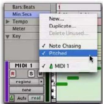 Avid Pro Tools 7.3 - Pour désactiver l'option Pitched d'une piste : - 1