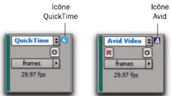 Icône QuickTime QuickTime frames 29.97 fps Icône Avid Avid Video R frames 29.97 fps