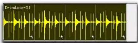 Avid Pro Tools 7.3 - Pour rogner la région source (Itération de boucle) d'une région mise en boucle : - 3