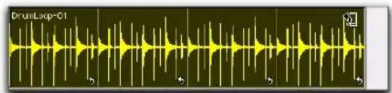 Avid Pro Tools 7.3 - Pour utiliser l'outil de trimming de boucle sur une région mise en boucle : - 2