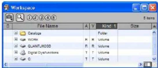 Workspace S File Name A V Kind 1 Size Catalogs Folder WORK R Volume QUANTUM205 R Volume Digital Dysfunctions T T Volume C T Volume