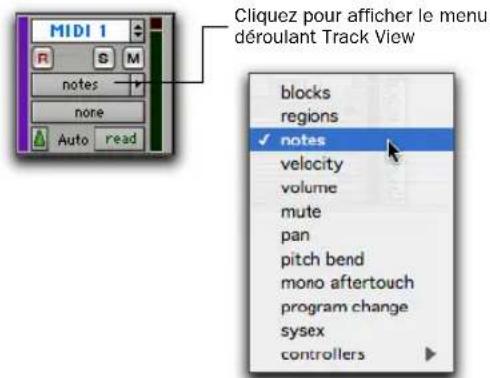 MIDI 1 notes none Auto read Cliquez pour afficher le menu déroulant Track View blocks regions ✓ notes velocity volume mute pan pitch bend mono aftertouch program change sysex controllers
