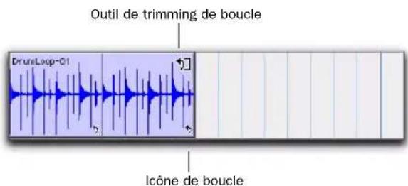 Outil de trimming de boucle DrunLoop-01 Icône de boucle