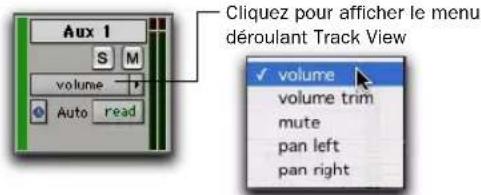 Aux 1 volume Auto read Cliquez pour afficher le menu déroulant Track View volume volume trim mute pan left pan right