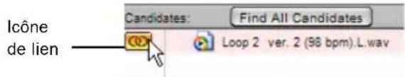 Icône de lien Candidates: Find All Candidates Loop 2 ver. 2 (98 bpm).L.wav
