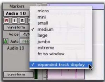 Avid Pro Tools 7.3 - Pour activer l'affichage étendu de la piste : - 1