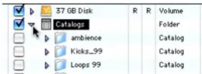 37 GB Disk Catalogs ambience Kicks_99 Loops 99 R R Volume Folder Catalog Catalog Catalog