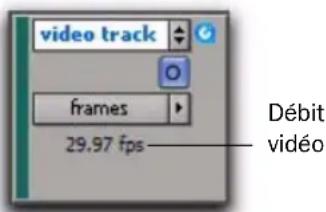 video track frames 29.97 fps Débit vidéo