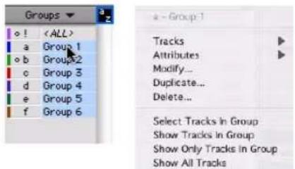 Avid Pro Tools 7.3 - Menus contextuels pour le nom de groupe et l'indicateur d'ID de groupe d'une piste - 1
