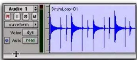Avid Pro Tools 7.3 - Pour redimensionner la hauteur d'une piste dans la fenêtre Edit : - 1