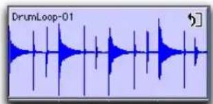 Avid Pro Tools 7.3 - Création de boucles avec l'outil de trimming de boucle - 1