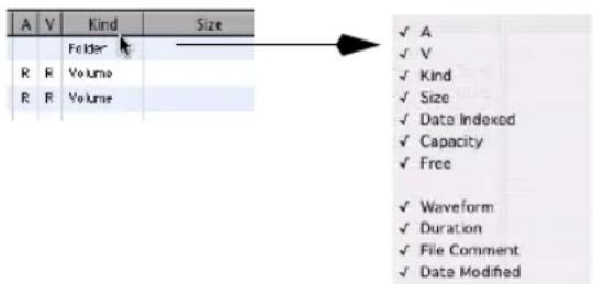 Avid Pro Tools 7.3 - Pour afficher ou masquer une colonne : - 1
