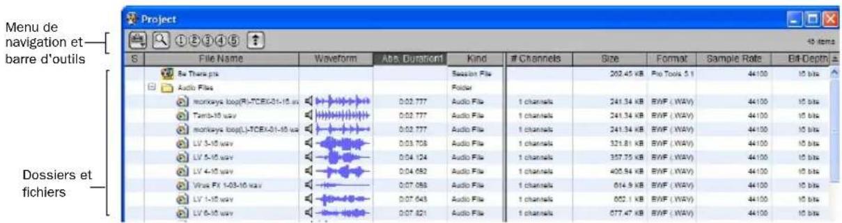 Menu de navigation et- barre d'outils S File Name Waveform Abs. Duration Kind Channels Size Format Sample Rate Bit-Depth 50 items 8a There.pia Audio Files monkeys loop(R)-TCBI-01-10 way Tamba-10 way monkeys loop(L)-TCBI-01-10 way LV 5-10 way LV 5-10 way LV 4-10 way Vire FX 1-03-10 way LV 1-10 way LV 6-10 way Dossiers et fichiers