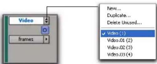 Video frames New... Duplicate... Delete Unused... ✓ Video (1) Video.01 (2) Video.02 (3) Video.03 (4)