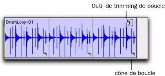 DramLoop-01 Outil de trimming de boucle Icône de boucle