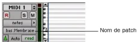 MIDI 1 R S M notes bas Membrace Auto read Nom de patch