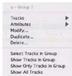 Avid Pro Tools 7.3 - Menus contextuels pour le nom de groupe et l'indicateur d'ID de groupe d'une piste - 3