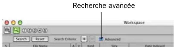 Recherche avancée Workspace Search Reset Search Criteria: + - Advanced S File Name A V Kind Size Date Indexed