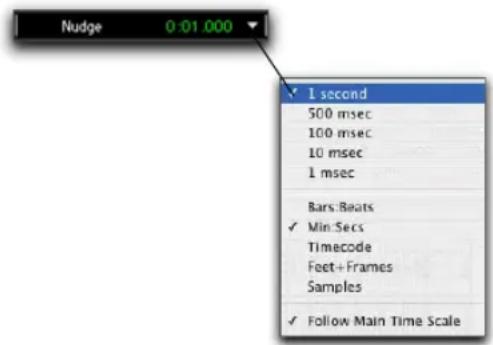 Nudge 0:01.000 ✓ 1 second 500 msec 100 msec 10 msec 1 msec Bars Beats ✓ Min Secs Timecode Feet+Frames Samples ✓ Follow Main Time Scale