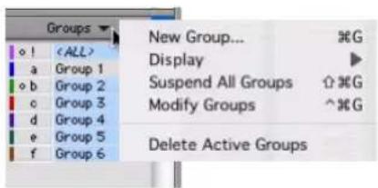 Avid Pro Tools 7.3 - Menu contextuel de la liste des groupes - 1