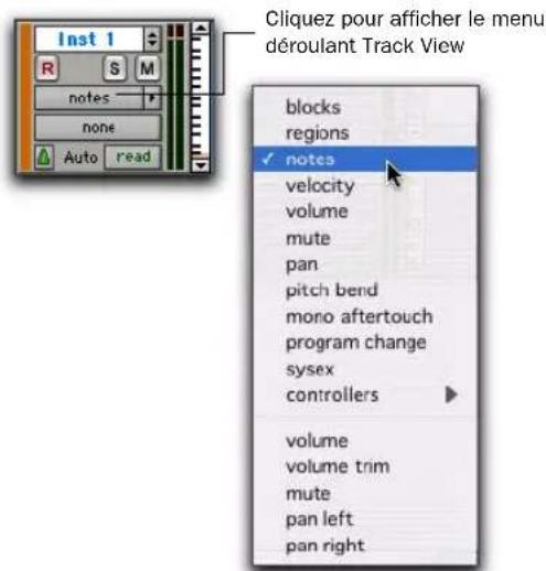 Cliquez pour afficher le menu déroulant Track View inst 1 R S M notes none Auto read blocks regions ✓ notes velocity volume mute pan pitch bend mono aftertouch program change sysex controllers volume volume trim mute pan left pan right
