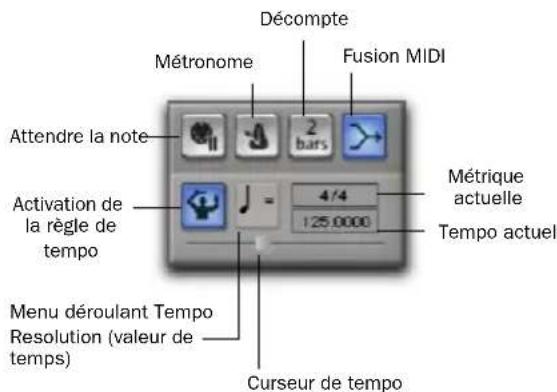 Décompte Métronome Fusion MIDI Attendre la note 2 bars 4/4 125.0000 Métrique actuelle Tempo actuel Activation de la règle de tempo Menu déroulant Tempo Resolution (valeur de temps) Curseur de tempo