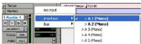 Tampa Markers no input 1 Audio 1 interface bus >A 1 (Mono) >A 2 (Mono) >A 3 (Mono) >A 4 (Mono) >A 5 (Mono)
