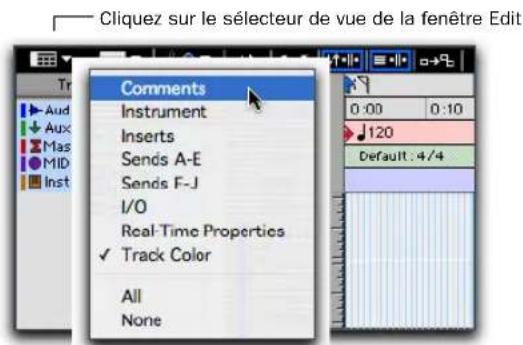 Cliquez sur le sélecteur de vue de la fenêtre Edit Tr Aud Aux Mas MID Inst Comments Instrument Inserts Sends A-E Sends F-J I/O Real-Time Properties ✓ Track Color All None 0:00 0:10 120 Default : 4/4