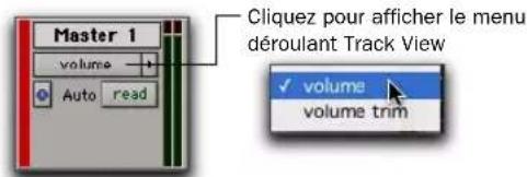 Master 1 volume Auto read Cliquez pour afficher le menu déroulant Track View volume volume trm