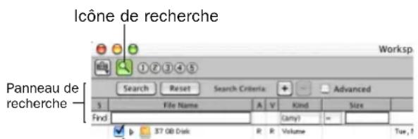 Icône de recherche Panneau de recherche Worksp Search Reset Search Criteria Advanced S File Name A V Kind Size Find 37 GB Disk R R Volume Tue,1