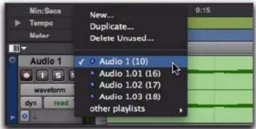 Min:Secs Tempo Meter New... Duplicate... Delete Unused... 0:15 Audio 1 ✓ Audio 1 (10) • Audio 1.01 (16) • Audio 1.02 (17) • Audio 1.03 (18) other playlists