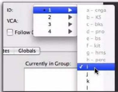 Avid Pro Tools 8.0 - Sélection d'un type de groupe - 1