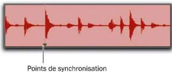 Avid Pro Tools 8.0 - Pour définir le point de synchronisation d'une région : - 1