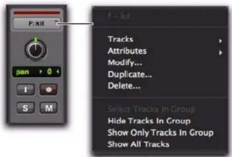 Avid Pro Tools 8.0 - Menus contextuels pour le nom de groupe et l'indicateur d'ID de groupe d'une piste - 2