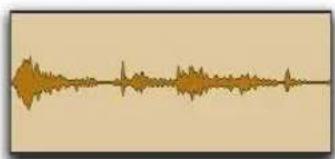 Avid Pro Tools 8.0 - Pour définir la méthode de calcul de la vue Waveform : - 1