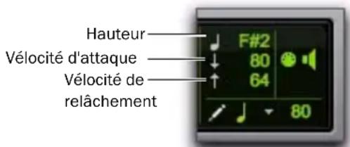Avid Pro Tools 8.0 - Saisie des attributs des notes - 1