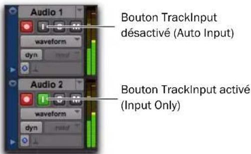 Avid Pro Tools 8.0 - (Pro Tools HD uniquement) - 1