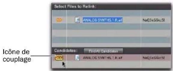 Avid Pro Tools 8.0 - Rétablissement du lien d'un fichier manquant sélectionné - 1
