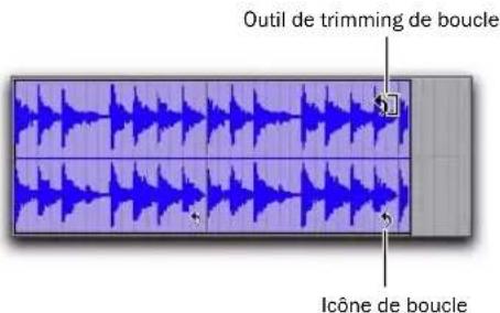 Avid Pro Tools 8.0 - Pour utiliser l'outil de trimming de boucle sur une région mise en boucle : - 1