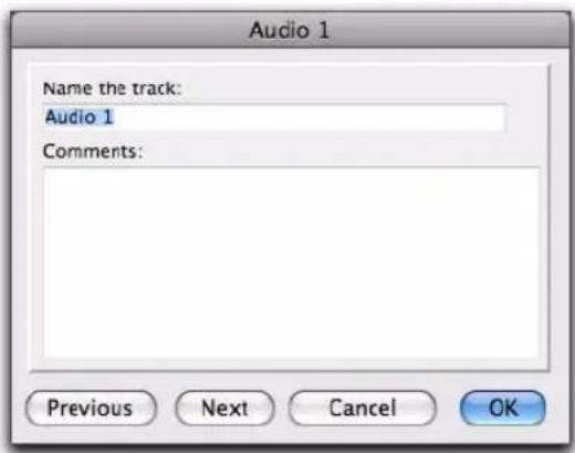 Avid Pro Tools 8.0 - Attribution de noms aux pistes - 1