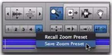 Avid Pro Tools 8.0 - Boutons de présélection de zoom - 1