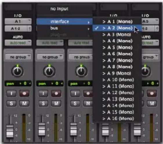 Avid Pro Tools 8.0 - Pour assigner une entrée audio d'une piste audio, d'une piste d'entrée auxiliaire ou d'une piste d'instrument : - 1