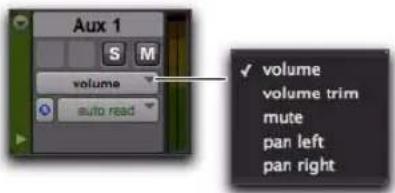 Avid Pro Tools 8.0 - Pour définir le mode de visualisation de la piste : - 2