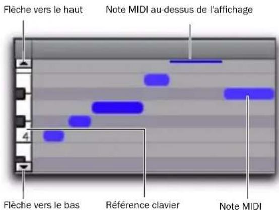 Avid Pro Tools 8.0 - Vue Notes pour les pistes MIDI et les pistes d'instrument - 1
