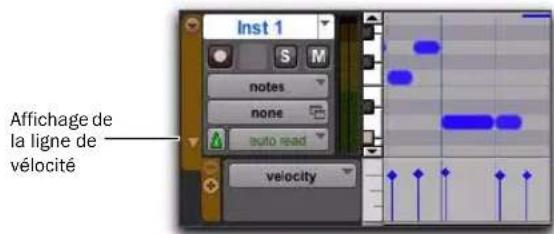 Avid Pro Tools 8.0 - Pour éditer la vélocité MIDI dans la fenêtre Edit : - 1