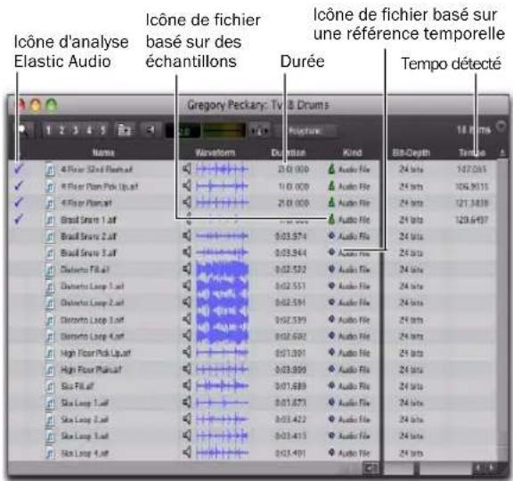 Avid Pro Tools 8.0 - Pour localiser et prévisualiser une boucle au tempo de la session dans DigiBase : - 3