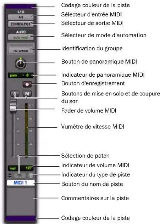 Avid Pro Tools 8.0 - Voies de pistes MIDI - 1