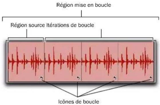 Avid Pro Tools 8.0 - Mise en boucle de régions - 1