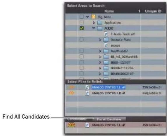 Avid Pro Tools 8.0 - Pour relier un fichier manquant : - 1